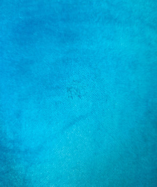 CHASING UNICORNS - WESTERN STAR JACKET RRP $590 BNWT